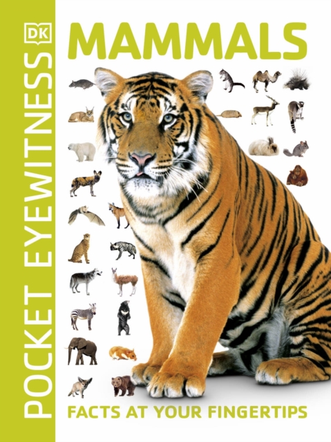 Mammals : Facts at Your Fingertips, Paperback / softback Book