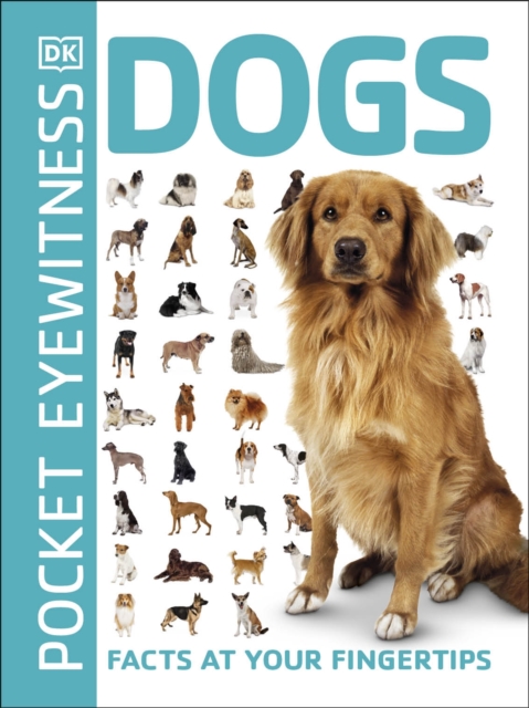 Pocket Eyewitness Dogs : Facts at Your Fingertips, Paperback / softback Book