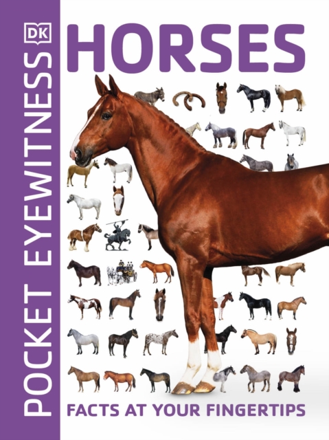 Pocket Eyewitness Horses : Facts at Your Fingertips, Paperback / softback Book