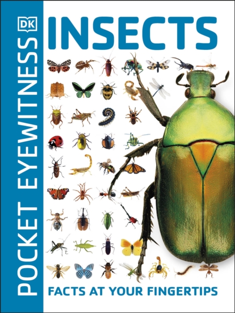 Pocket Eyewitness Insects : Facts at Your Fingertips, Paperback / softback Book