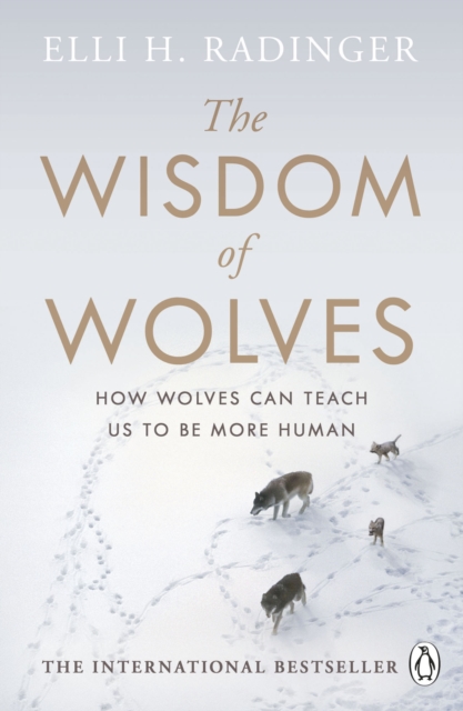 The Wisdom of Wolves : How Wolves Can Teach Us To Be More Human, Paperback / softback Book
