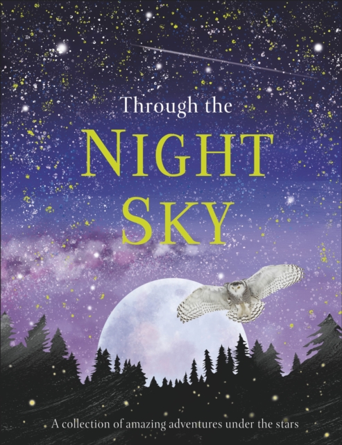 Through the Night Sky : A collection of amazing adventures under the stars, Hardback Book