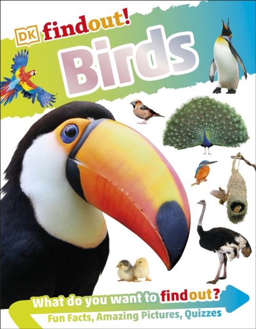 DKfindout! Birds, Paperback / softback Book