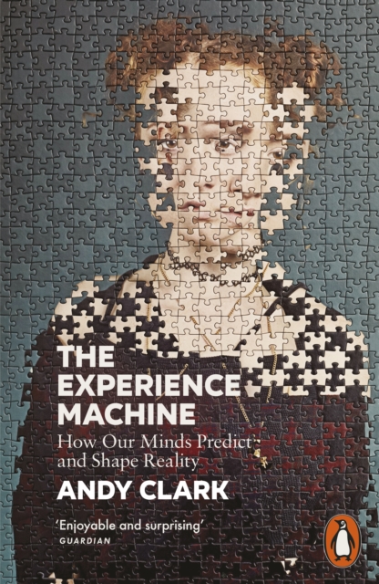 The Experience Machine : How Our Minds Predict and Shape Reality, EPUB eBook