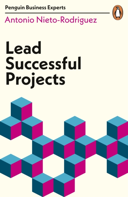 Lead Successful Projects, Paperback / softback Book