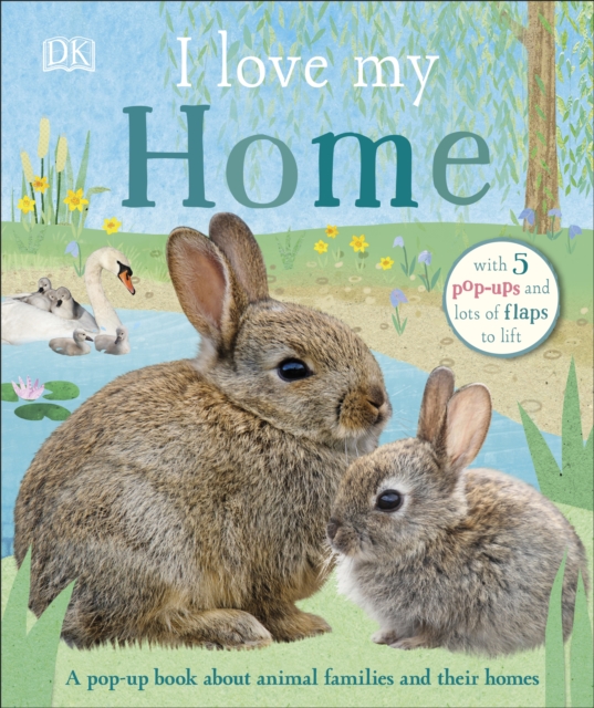 I Love My Home : A pop-up book about animal families and their homes, Board book Book