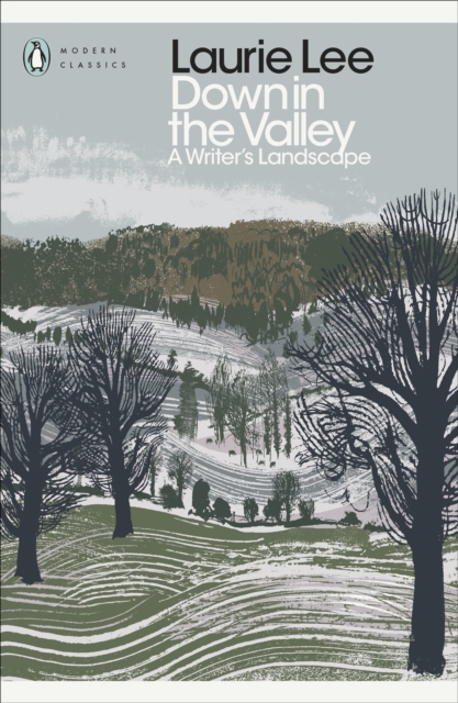 Down in the Valley : A Writer's Landscape, EPUB eBook