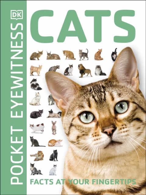 Cats : Facts at Your Fingertips, Paperback / softback Book