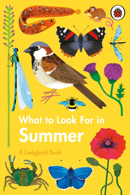 What to Look For in Summer, Hardback Book