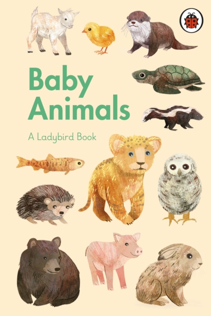 A Ladybird Book: Baby Animals, Hardback Book