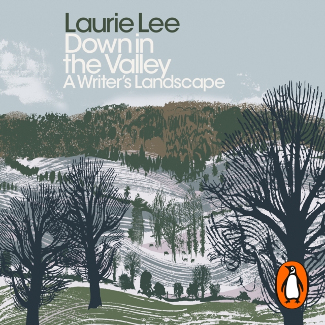 Down in the Valley : A Writer's Landscape, eAudiobook MP3 eaudioBook