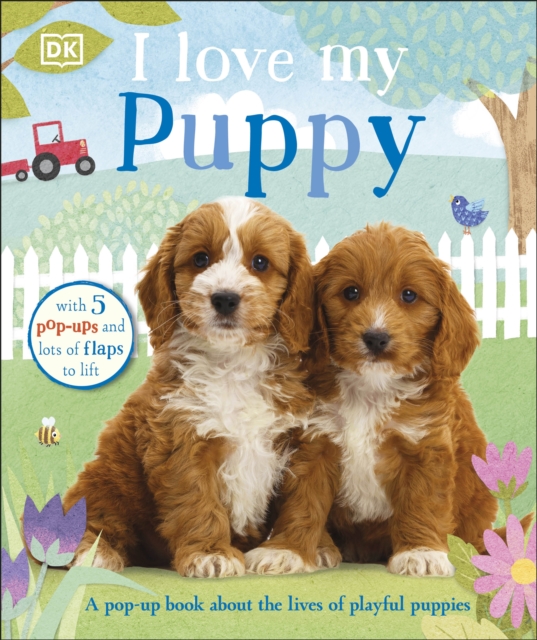 I Love My Puppy, Board book Book