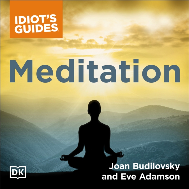 The Complete Idiot's Guide to Meditation : How to Heal Through the Mind/Body Connection, eAudiobook MP3 eaudioBook