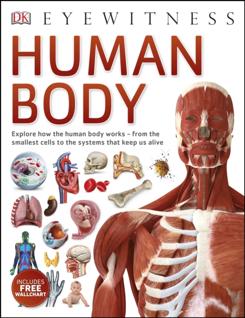 Human Body, EPUB eBook