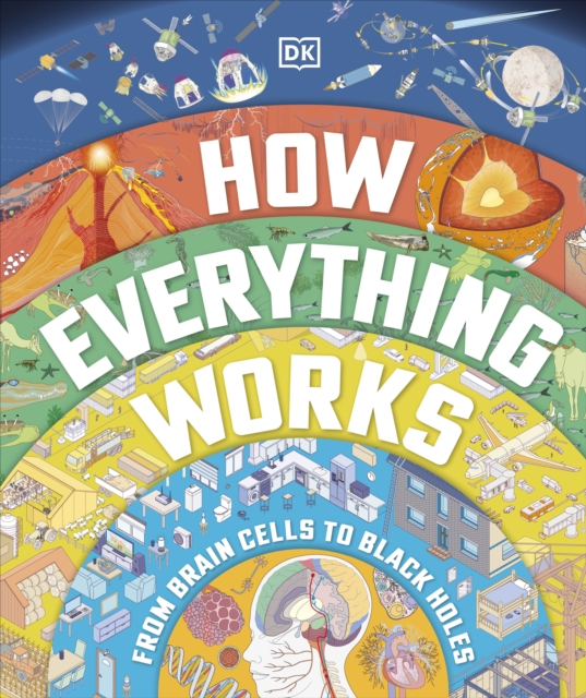 How Everything Works : From Brain Cells to Black Holes, Hardback Book