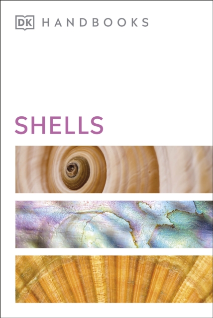 Shells, Paperback / softback Book