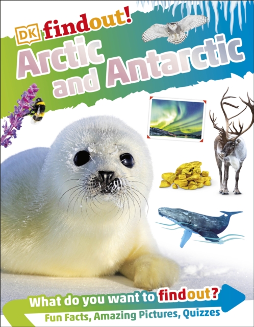 DKFindout! Arctic and Antarctic, Paperback / softback Book