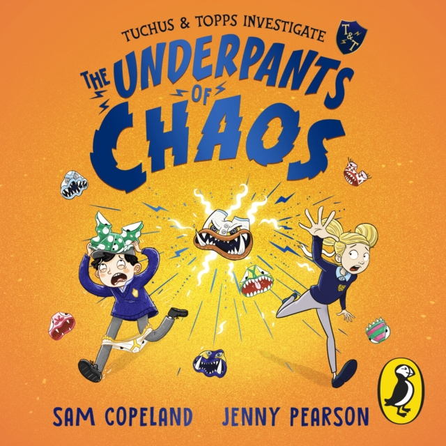 The Underpants of Chaos, eAudiobook MP3 eaudioBook