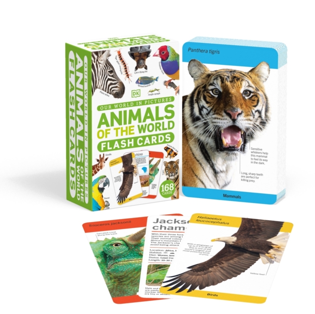 Our World in Pictures Animals of the World Flash Cards, Cards Book