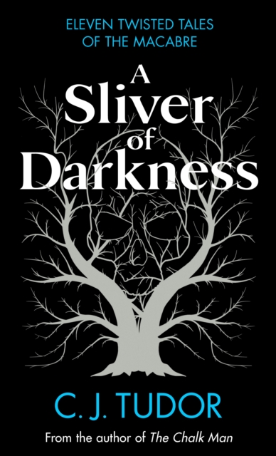 A Sliver of Darkness, Hardback Book