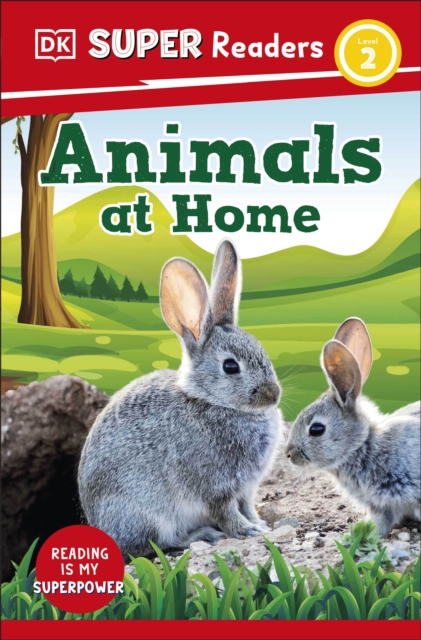 DK Super Readers Level 2 Animals at Home, Paperback / softback Book