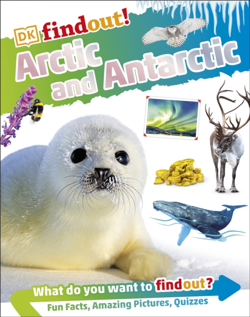 DKFindout! Arctic and Antarctic, EPUB eBook