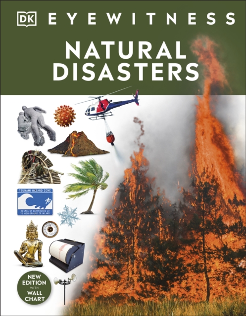 Natural Disasters, EPUB eBook