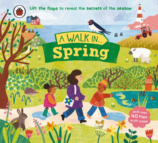 A Walk in Spring : Lift the flaps to reveal the secrets of the season, Board book Book