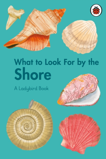 What to Look For by the Shore, Hardback Book