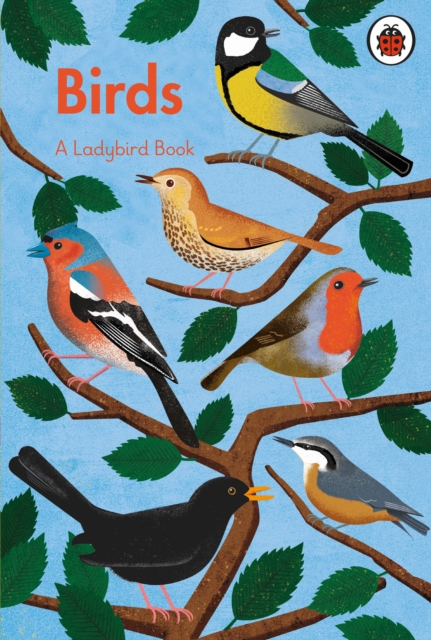 A Ladybird Book: Birds, Hardback Book
