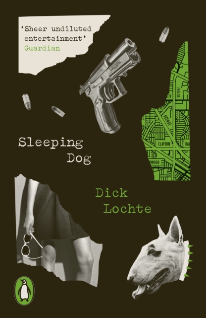 Sleeping Dog, Paperback / softback Book