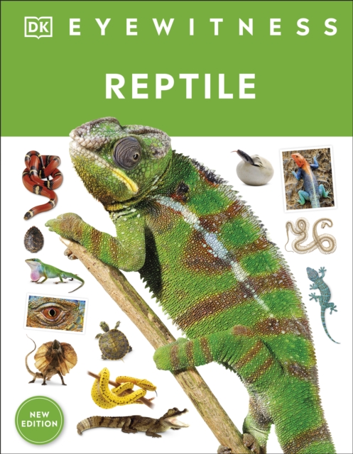Reptile, EPUB eBook