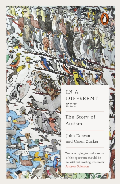 In a Different Key : The Story of Autism, Paperback / softback Book