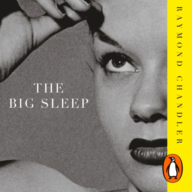 The Big Sleep, eAudiobook MP3 eaudioBook