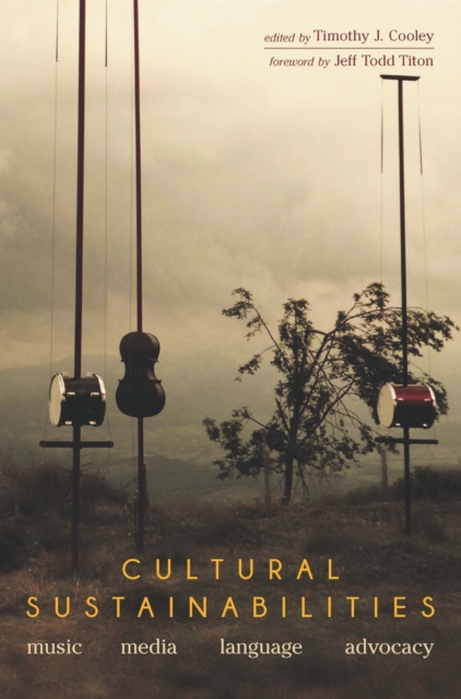 Cultural Sustainabilities : Music, Media, Language, Advocacy, EPUB eBook