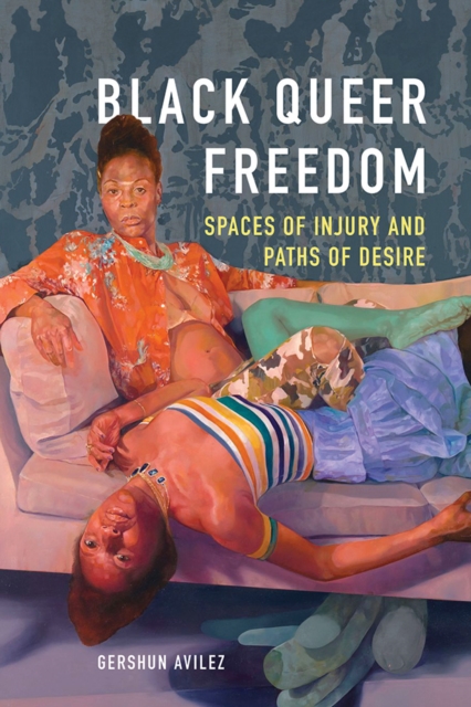 Black Queer Freedom : Spaces of Injury and Paths of Desire, EPUB eBook