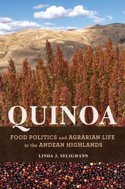 Quinoa : Food Politics and Agrarian Life in the Andean Highlands, Paperback / softback Book