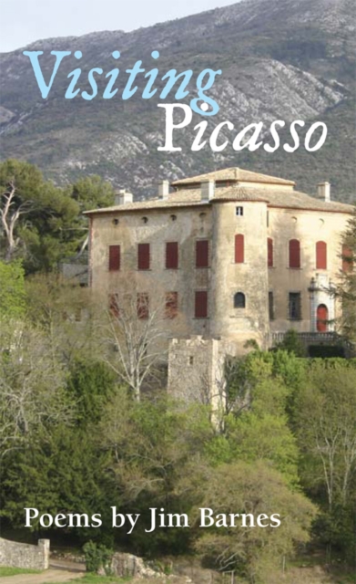 Visiting Picasso, EPUB eBook