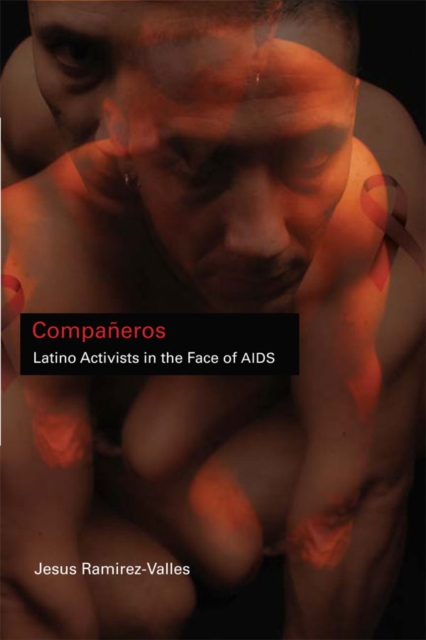 Companeros : Latino Activists in the Face of AIDS, EPUB eBook