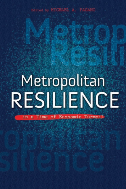 Metropolitan Resilience in a Time of Economic Turmoil, EPUB eBook
