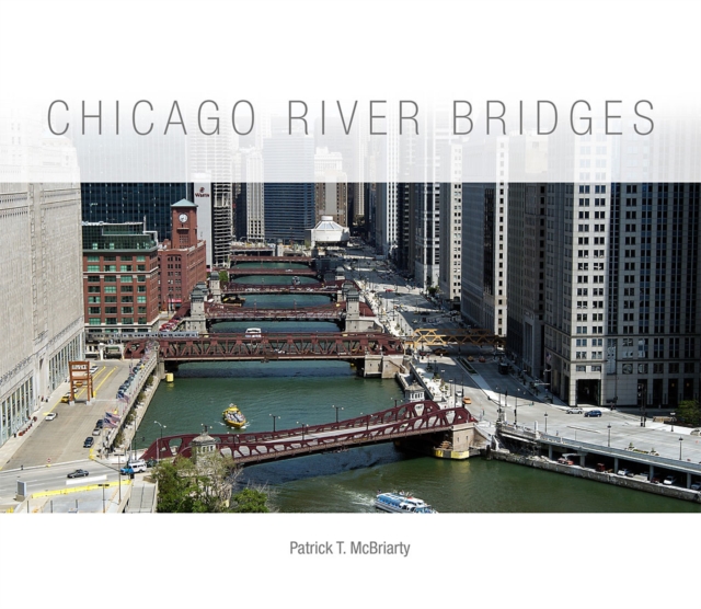 Chicago River Bridges, EPUB eBook