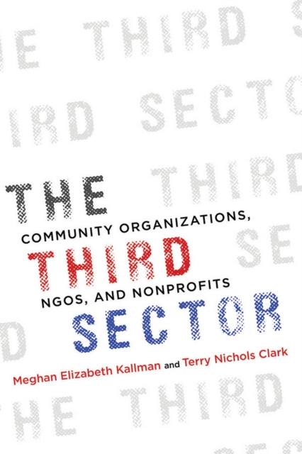 The Third Sector : Community Organizations, NGOs, and Nonprofits, EPUB eBook