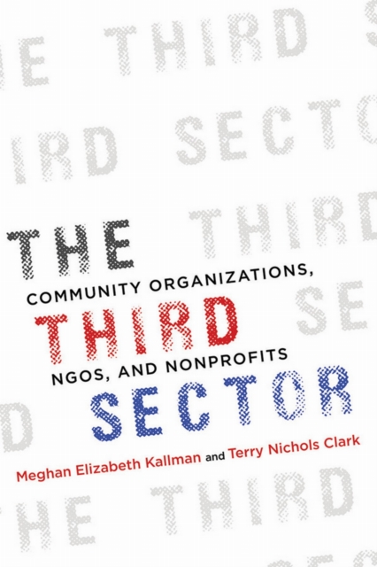 The Third Sector : Community Organizations, NGOs, and Nonprofits, EPUB eBook