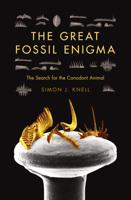 The Great Fossil Enigma : The Search for the Conodont Animal, EPUB eBook