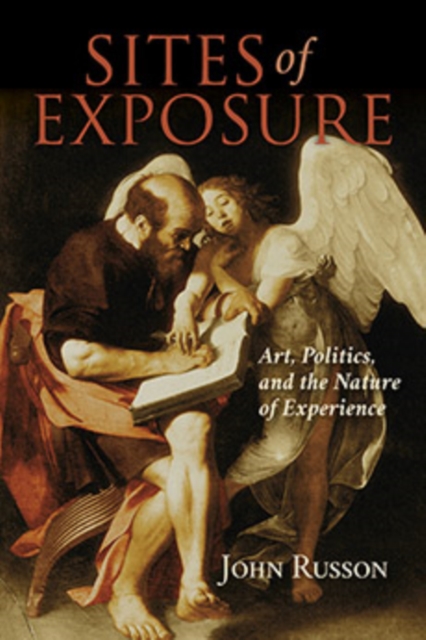 Sites of Exposure : Art, Politics, and the Nature of Experience, Paperback / softback Book