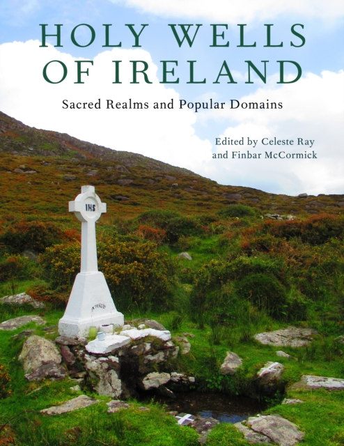 Holy Wells of Ireland : Sacred Realms and Popular Domains, Hardback Book