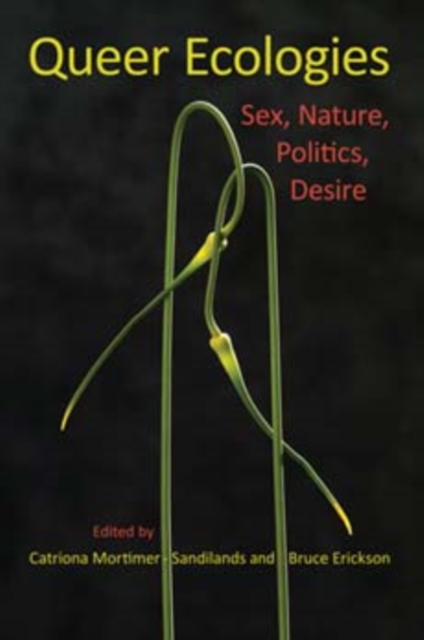 Queer Ecologies : Sex, Nature, Politics, Desire, Paperback / softback Book