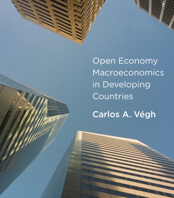 Open Economy Macroeconomics in Developing Countries, Hardback Book