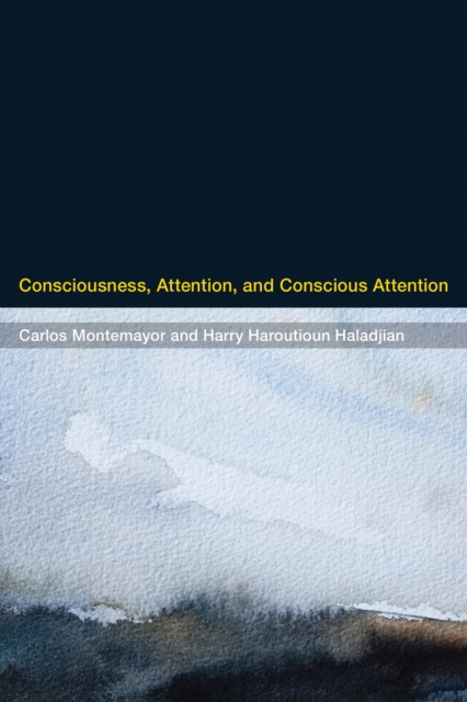 Consciousness, Attention, and Conscious Attention, Hardback Book