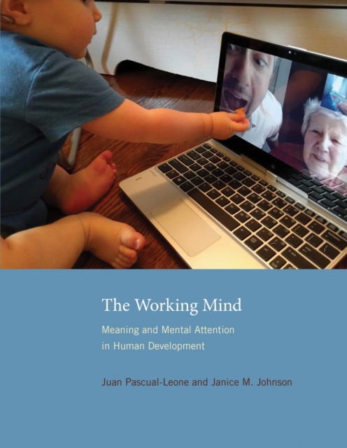 The Working Mind : Meaning and Mental Attention in Human Development, Hardback Book
